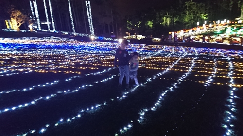 10日・東南植物楽園の光の散歩道！